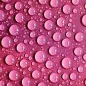 Rain Water Drops Wallpapers HD