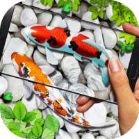 Fish Live wallpaper 2019: 3D Aquarium Koi Pond