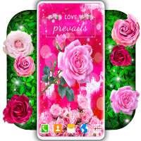 Spring Rose Live Wallpaper 🌹 Pastel Pink Themes