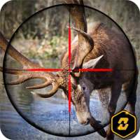 Buck Fever: American Hunter 3D Hunting Games