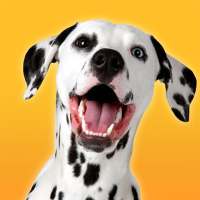 Simulator Anjing Dalmatian