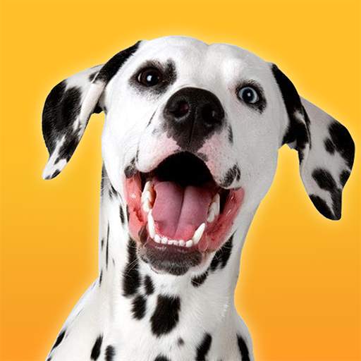 Dalmatian Dog Simulator