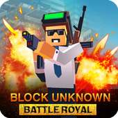 Block Unknown Battle Royale