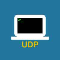UDP Terminal on 9Apps