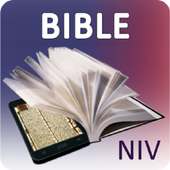 NIV Bible for Study Free on 9Apps