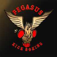 Pegasus Studio