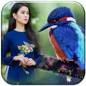 Birds Photo Frame Dual 2018 on 9Apps