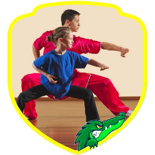 Shaolin Kung Fu Skills (Guide)