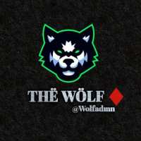 Wolf TIPS - BETTING TIPS