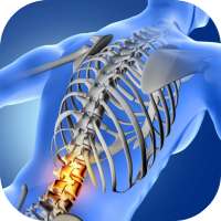 Back Pain - causes, symptoms, treatments on 9Apps