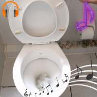 Toilet Flushing Sounds and Ringtones on 9Apps