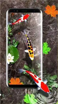Koi Fish Live Wallpaper APK Download 2023 - Free - 9Apps Koi Fish Live Wallpaper APK Download 2023 - Free - 9Apps