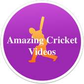 Amazing Cricket Videos