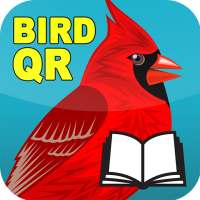 Bird QR on 9Apps