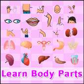 Learn body parts (Free) on 9Apps