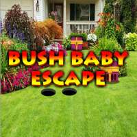 Bush Baby Escape