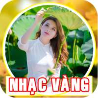 Nhạc Trữ Tình - Ca Nhạc Bolero Mới on 9Apps