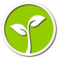 Lucky tree - plant your own tree on 9Apps