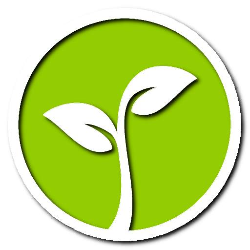 Lucky tree - plant your own tree