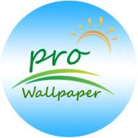 Pro Wallpaper HD