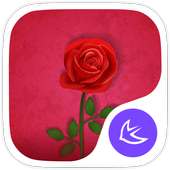 The rose-APUS Launcher theme on 9Apps