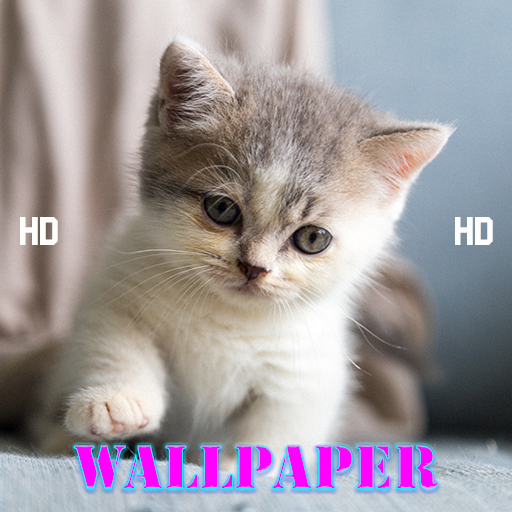 Kucing Imut Lucu Wallpaper App لـ Android Download - 9Apps