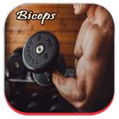 Biceps Workout Guide