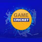 IPL Cricket Game