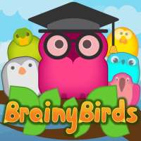 Brainy Birds