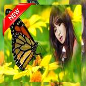 Butterfly Photo frame