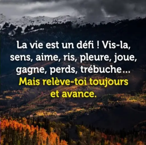 Citations Et Proverbes Sur La Vie App لـ Android Download 9apps Citations Et Proverbes Sur La Vie App لـ Android Download 9apps