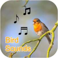 Kuş Çağrıları, Sesler ve Zil Sesleri (Offliine) on 9Apps