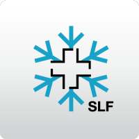 White Risk - SLF Lawinen-App