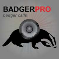Badger Calls For Hunting AU