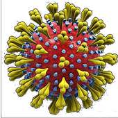 Wuhan CoronaVirus Live