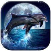 Dolphin Live Wallpaper