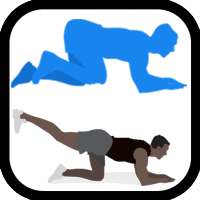 Physiotherapic Exercises on 9Apps