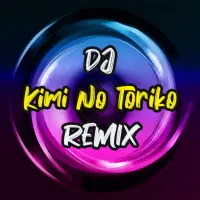 Kimi No Toriko [Summertime] - Tiktok Remix - song and lyrics by