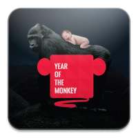 Year of the Monkey on 9Apps