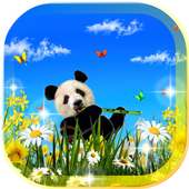 Panda Pretty LWP 2016 on 9Apps