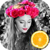 Color Plash : Heart Photo Editor on 9Apps