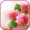 HD Pink Roses Live Wallpaper