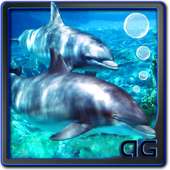 Dolphins with Bubbles Magic FX