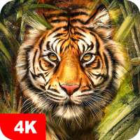 Papéis de parede com tigres 4K on 9Apps