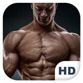 Trainer Gym Workout on 9Apps