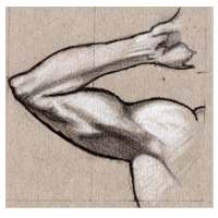Arms Exercises on 9Apps