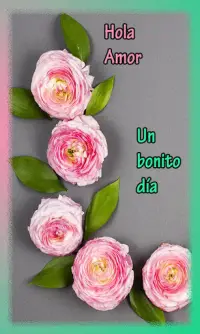 Descarga de la aplicación Saludos de Amistad y Amor con Rosas Bonitas 2023  - Gratis - 9Apps