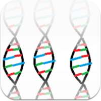 DNA Replication on 9Apps