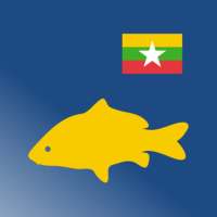 ရွှေငါး - Shwe Ngar