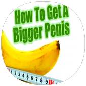 Increase Penis Size Guide